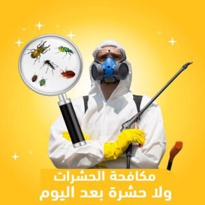 شركة مكافحة حشرات في دبي