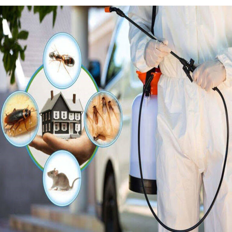 أفضل شركة مكافحة حشرات في ديي